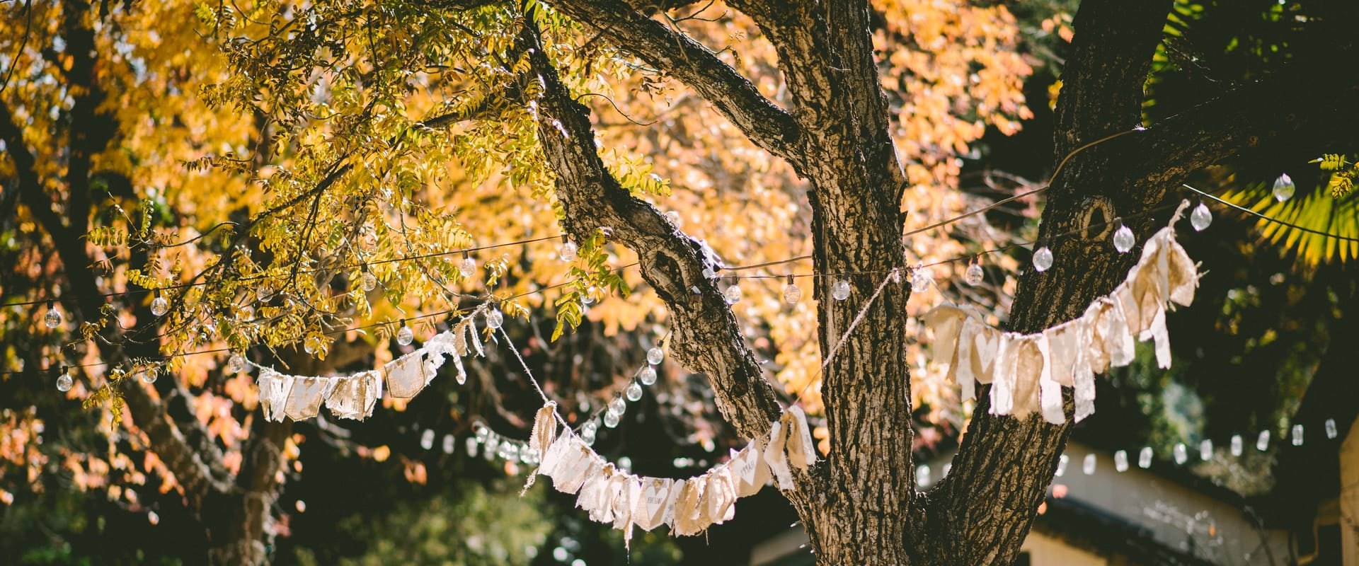 Unforgettable Outdoor Birthday Celebrations in Central Texas