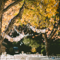 Unforgettable Outdoor Birthday Celebrations in Central Texas